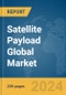 Satellite Payload Global Market Report 2024 - Product Thumbnail Image