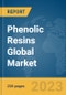 Phenolic Resins Global Market Report 2024 - Product Thumbnail Image