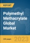 Polymethyl Methacrylate Global Market Report 2024 - Product Thumbnail Image