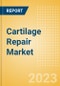 Cartilage Repair Market Size by Segments, Share, Regulatory, Reimbursement, Procedures and Forecast to 2033 - Product Image