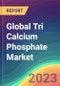 Global Tri Calcium Phosphate Market Analysis: Plant Capacity, Production, Operating Efficiency, Demand & Supply, End-User Industries, Sales Channel, Regional Demand, Foreign Trade, Company Share, 2015-2032 - Product Image