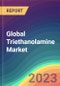 Global Triethanolamine Market Analysis: Plant Capacity, Production, Technology, Operating Efficiency, Demand & Supply, End-Use, Grade, Foreign Trade, Sales Channel, Regional Demand, Company Share, 2015-2030 - Product Image