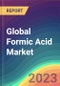 Global Formic Acid Market Analysis: Plant Capacity, Production, Operating Efficiency, Demand & Supply, End-User Industries, Sales Channel, Company Share, Regional Demand, Foreign Trade, 2015-2035 - Product Image