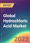 Global Hydrochloric Acid Market Analysis: Plant Capacity, Production, Operating Efficiency, Foreign Trade, Demand & Supply, End-User Industries, Company Share, Sales Channel, Grade, Regional Demand, 2015-2032 - Product Image