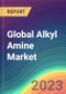 Global Alkyl Amine Market Analysis: Plant Capacity, Process, Technology, Operating Efficiency, Demand & Supply, End-Use, Foreign Trade, Type, Sales Channel, Regional Demand, Company Share, 2015-2030 - Product Image
