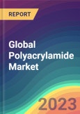 Global Polyacrylamide (PAM) Market Analysis: Plant Capacity, Production, Operating Efficiency, Demand & Supply, End-User Industries, Sales Channel, Regional Demand, Company Share, 2015-2032- Product Image