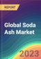 Global Soda Ash Market Analysis: Plant Capacity, Production, Operating Efficiency, Demand & Supply, Type, End-User Industries, Foreign Trade, Sales Channel, Regional Demand, Company Share, 2015-2035 - Product Image