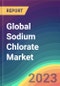 Global Sodium Chlorate Market Analysis: Plant Capacity, Production, Operating Efficiency, Demand & Supply, End-User Industries, Sales Channel, Regional Demand, Foreign Trade, Company Share, 2015-2035 - Product Image