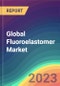 Global Fluoroelastomer (FKM) Market Analysis: Plant Capacity, Production, Operating Efficiency, Demand & Supply, End-User Industries, Sales Channel, Regional Demand, Company Share, 2015-2032 - Product Thumbnail Image