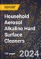 2024 Global Forecast for Household Aerosol Alkaline Hard Surface Cleaners (2025-2030 Outlook) - Manufacturing & Markets Report - Product Image