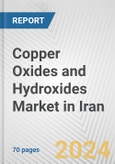 Copper Oxides and Hydroxides Market in Iran: Business Report 2024- Product Image