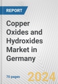 Copper Oxides and Hydroxides Market in Germany: Business Report 2024- Product Image