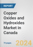 Copper Oxides and Hydroxides Market in Canada: Business Report 2024- Product Image