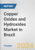 Copper Oxides and Hydroxides Market in Brazil: Business Report 2024- Product Image