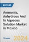 Ammonia, Anhydrous And In Aqueous Solution Market in Mexico: Business Report 2024 - Product Image