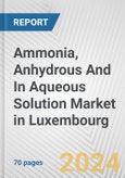 Ammonia, Anhydrous And In Aqueous Solution Market in Luxembourg: Business Report 2024- Product Image