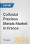 Colloidal Precious Metals Market in France: Business Report 2024 - Product Image