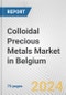 Colloidal Precious Metals Market in Belgium: Business Report 2024 - Product Thumbnail Image