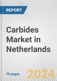 Carbides Market in Netherlands: Business Report 2024- Product Image