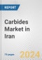 Carbides Market in Iran: Business Report 2024 - Product Image