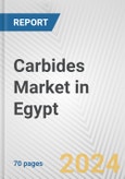 Carbides Market in Egypt: Business Report 2024- Product Image