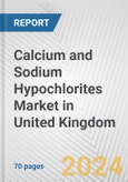 Calcium and Sodium Hypochlorites Market in United Kingdom: Business Report 2024- Product Image