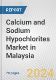 Calcium and Sodium Hypochlorites Market in Malaysia: Business Report 2024- Product Image
