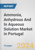 Ammonia, Anhydrous And In Aqueous Solution Market in Portugal: Business Report 2024- Product Image