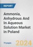 Ammonia, Anhydrous And In Aqueous Solution Market in Poland: Business Report 2024- Product Image