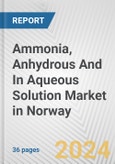 Ammonia, Anhydrous And In Aqueous Solution Market in Norway: Business Report 2024- Product Image