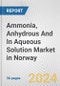 Ammonia, Anhydrous And In Aqueous Solution Market in Norway: Business Report 2024 - Product Image