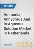 Ammonia, Anhydrous And In Aqueous Solution Market in Netherlands: Business Report 2024- Product Image