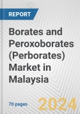 Borates and Peroxoborates (Perborates) Market in Malaysia: Business Report 2024- Product Image