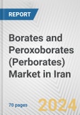 Borates and Peroxoborates (Perborates) Market in Iran: Business Report 2024- Product Image