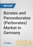 Borates and Peroxoborates (Perborates) Market in Germany: Business Report 2024- Product Image