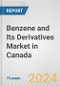 Benzene and Its Derivatives Market in Canada: Business Report 2024 - Product Image
