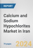 Calcium and Sodium Hypochlorites Market in Iran: Business Report 2024- Product Image