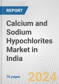 Calcium and Sodium Hypochlorites Market in India: Business Report 2024- Product Image