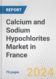 Calcium and Sodium Hypochlorites Market in France: Business Report 2024- Product Image