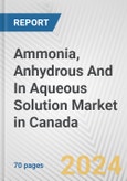 Ammonia, Anhydrous And In Aqueous Solution Market in Canada: Business Report 2024- Product Image
