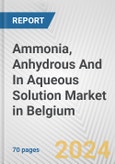 Ammonia, Anhydrous And In Aqueous Solution Market in Belgium: Business Report 2024- Product Image