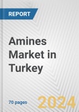 Amines Market in Turkey: Business Report 2024- Product Image