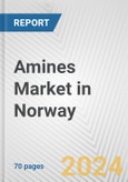 Amines Market in Norway: Business Report 2024- Product Image