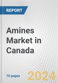 Amines Market in Canada: Business Report 2024- Product Image