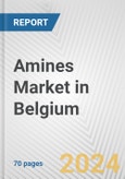 Amines Market in Belgium: Business Report 2024- Product Image
