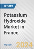 Potassium Hydroxide Market in France: 2017-2023 Review and Forecast to 2027- Product Image