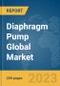 Diaphragm Pump Global Market Report 2024 - Product Thumbnail Image