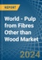 World - Pulp from Fibres Other than Wood - Market Analysis, Forecast, Size, Trends and Insights - Product Thumbnail Image