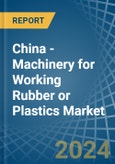 China - Machinery for Working Rubber or Plastics - Market Analysis, forecast, Size, Trends and Insights- Product Image