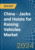 China - Jacks and Hoists for Raising Vehicles - Market Analysis, forecast, Size, Trends and Insights- Product Image